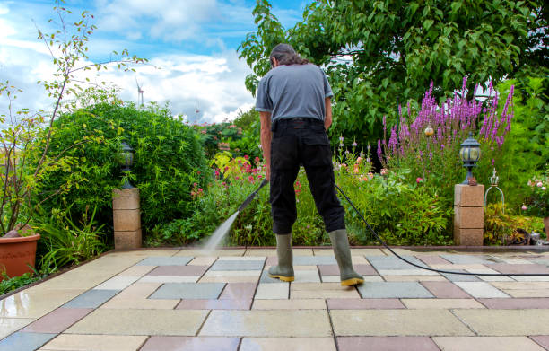 Best Winterizing Services  in Bellevue, IL