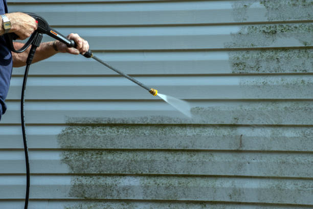 Best House Exterior Washing  in Bellevue, IL