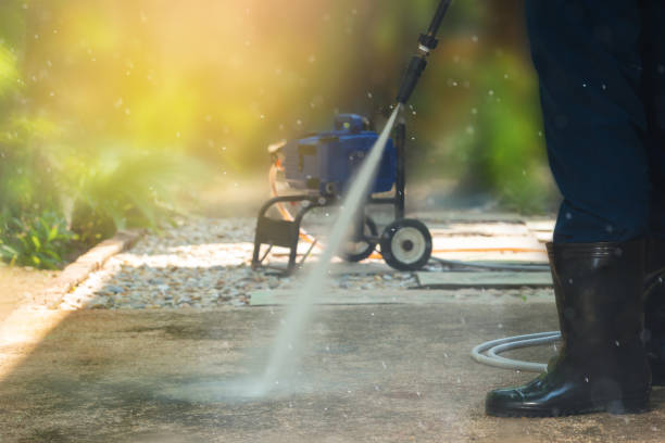Best Spring Cleaning  in Bellevue, IL